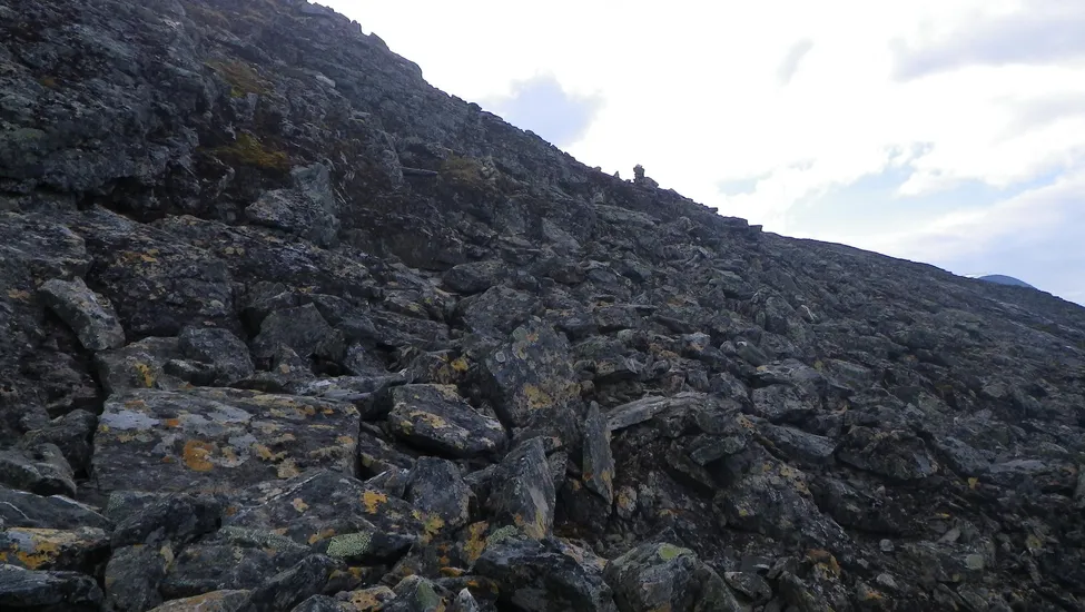 Klicka för att förstora