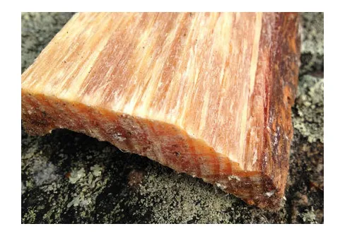 Tjärstickan - en het och eldig följeslagare