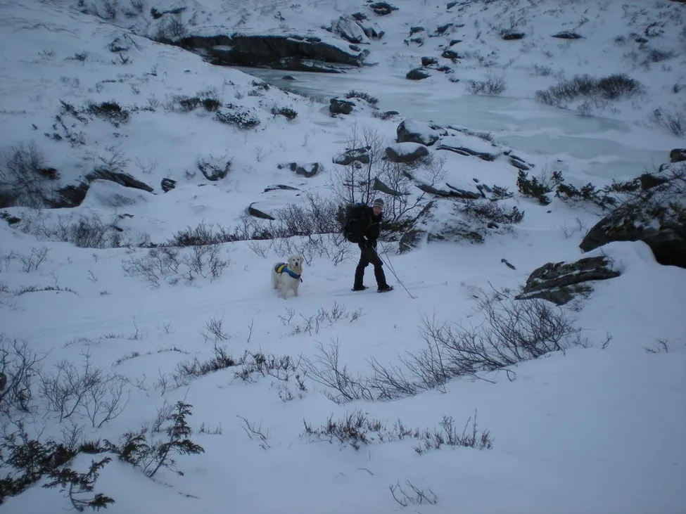 Klicka för att förstora