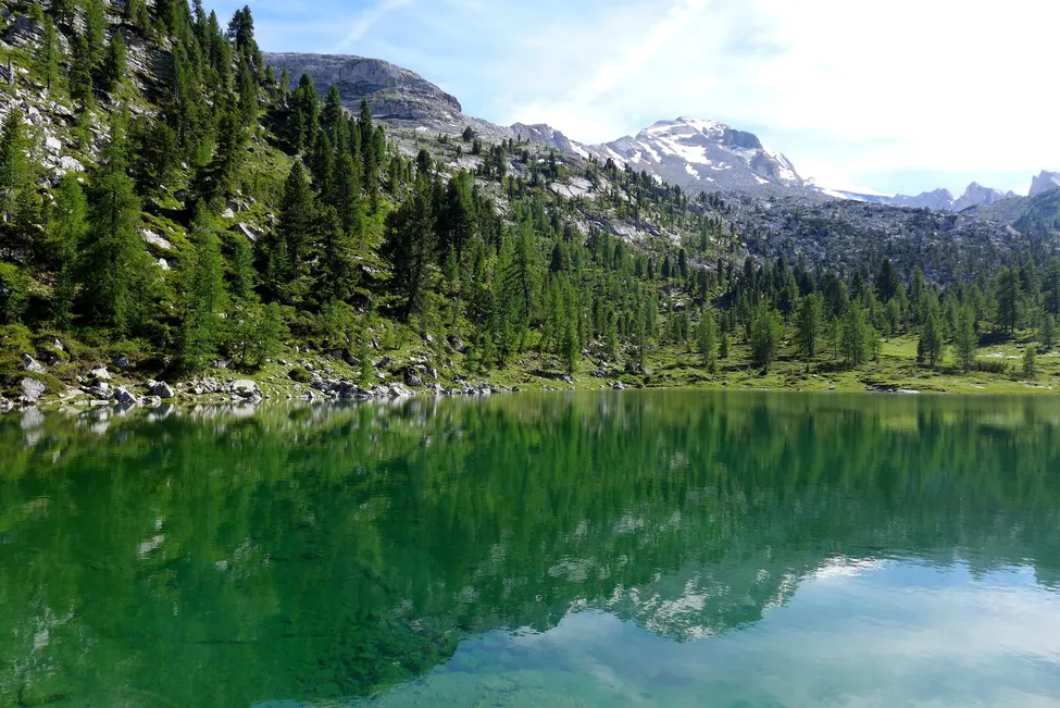 Klicka för att förstora
