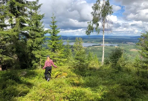 Friluftsbarometer visar att fler anser allemansrätten värdefull att bevara