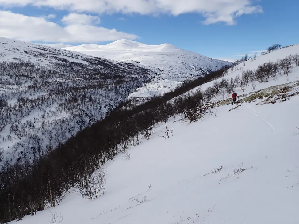Klicka för att förstora