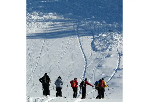 Digital föreläsningsserie om laviner och risktagande