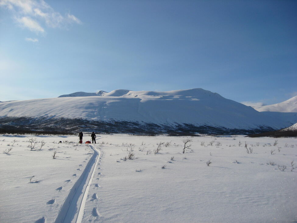 Klicka för att förstora