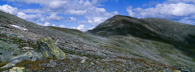 Klicka för att förstora