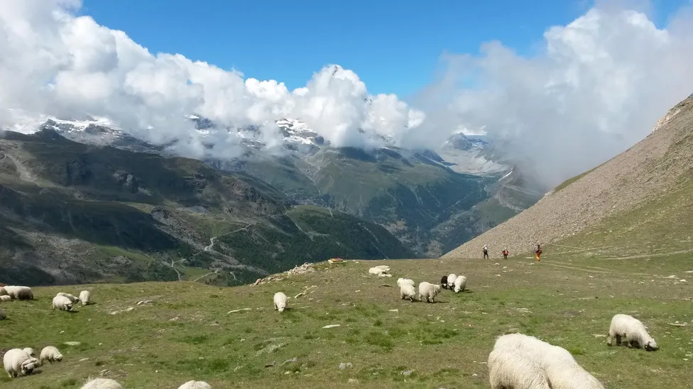 Klicka för att förstora