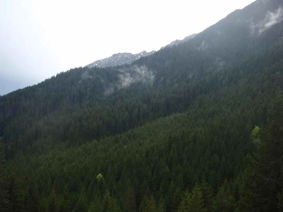 Klicka för att förstora