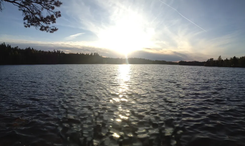 Klicka för att förstora