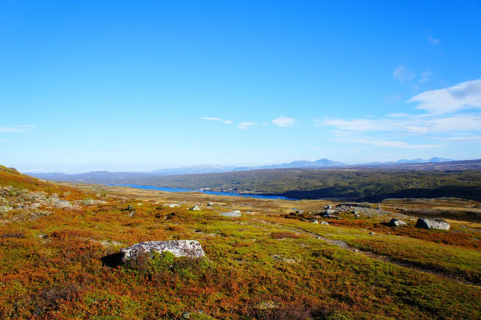 Klicka för att förstora