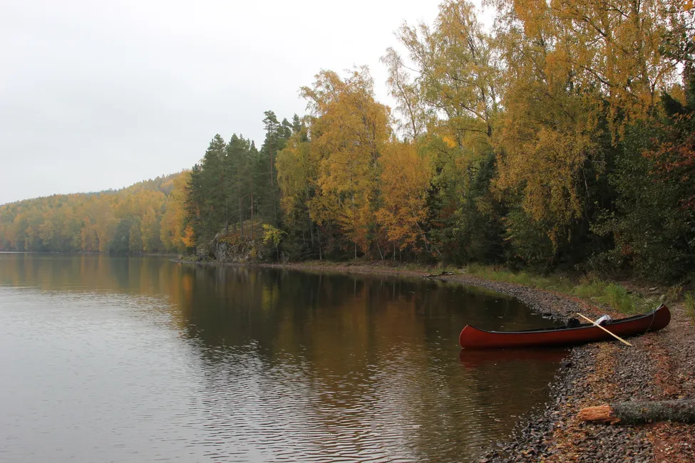 Klicka för att förstora
