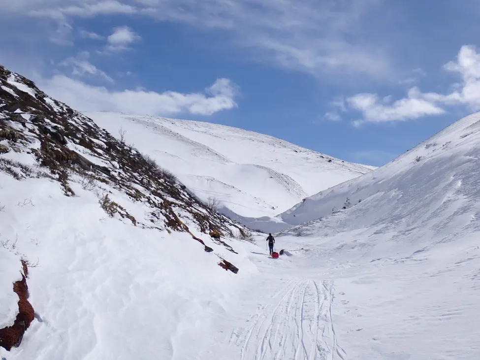 Klicka för att förstora