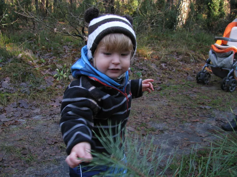 Klicka för att förstora