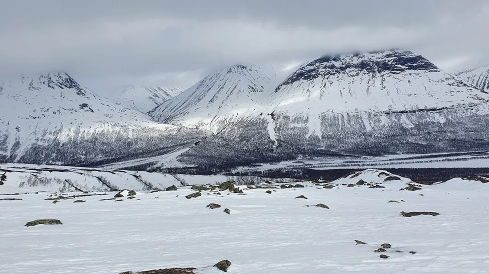 Klicka för att förstora
