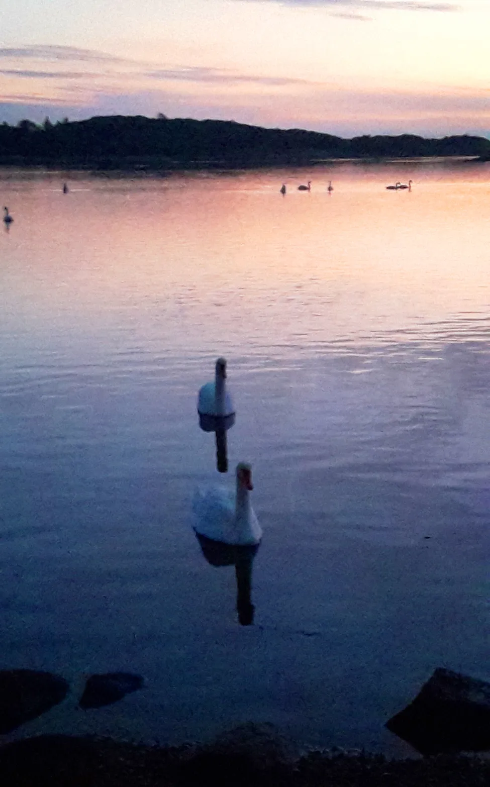 Klicka för att förstora