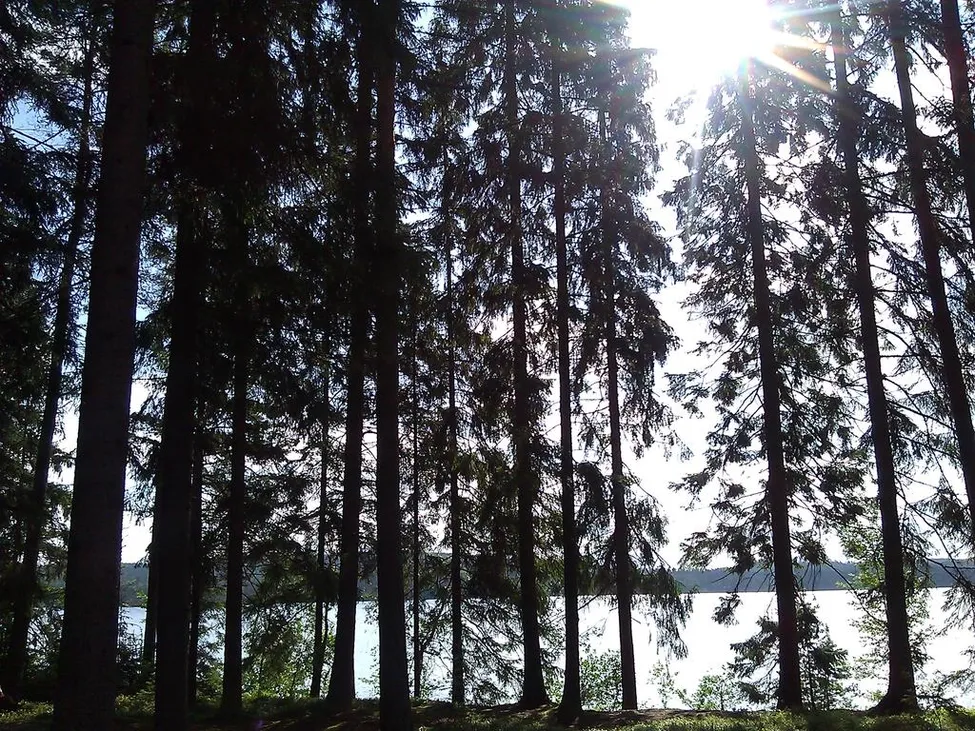 Klicka för att förstora