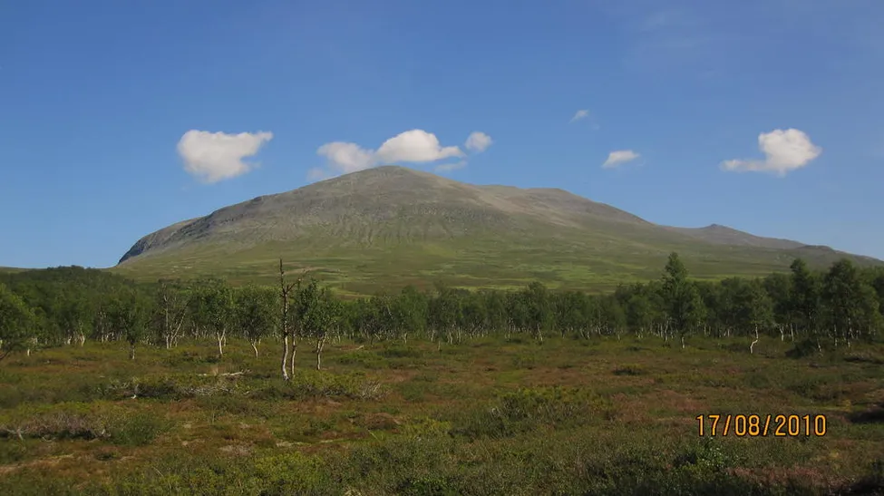 Klicka för att förstora