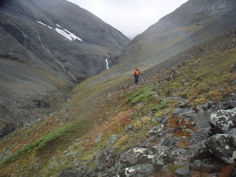 Klicka för att förstora