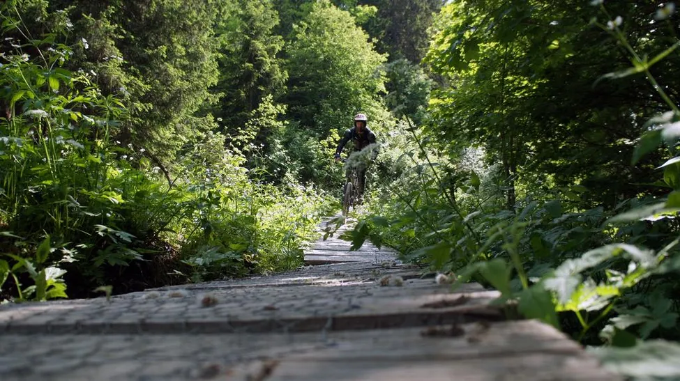 Klicka för att förstora