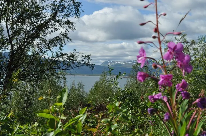 Klicka för att förstora