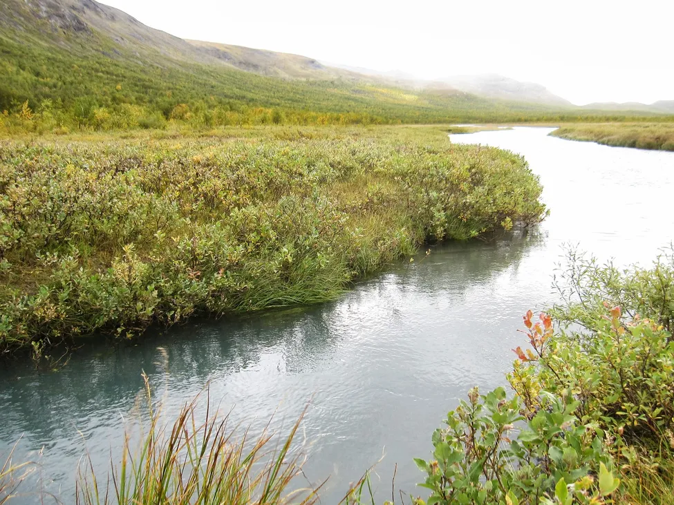 Klicka för att förstora
