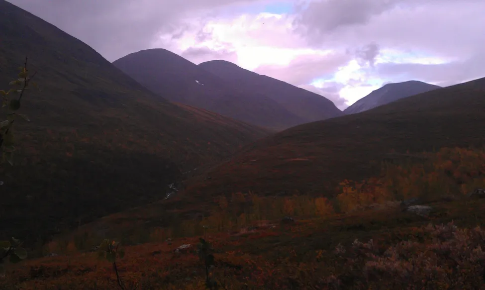 Klicka för att förstora