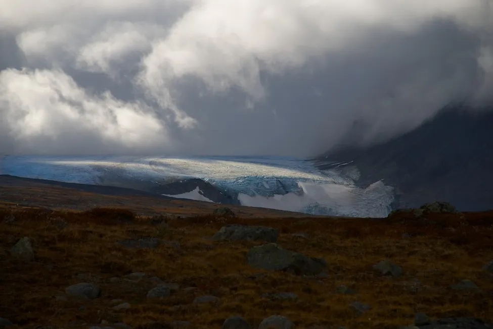 Klicka för att förstora