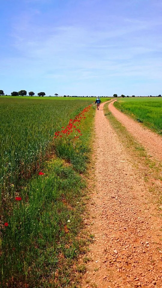 Klicka för att förstora