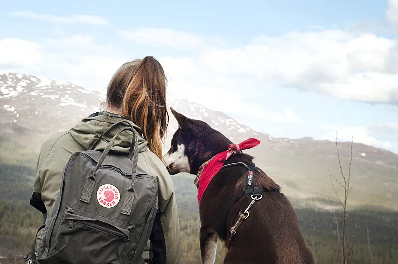 Klicka för att förstora