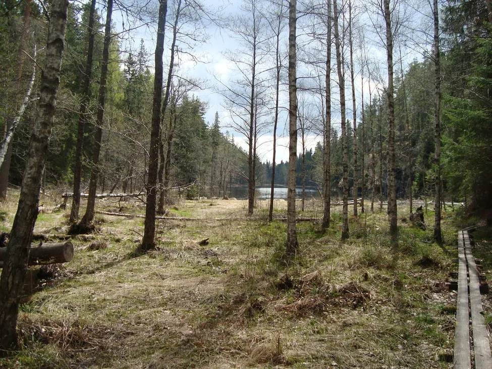 Klicka för att förstora