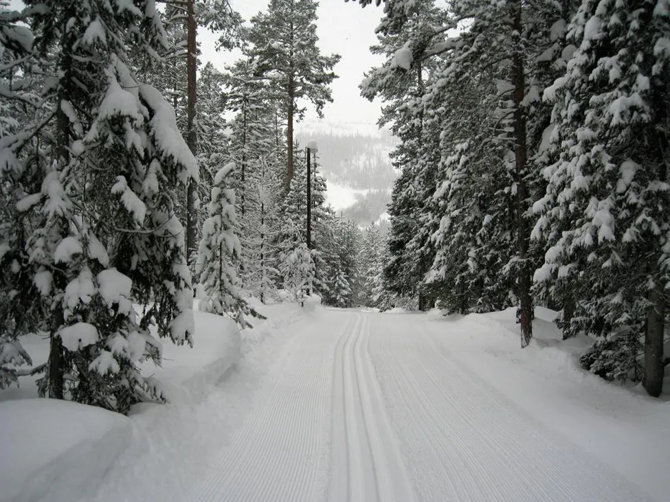Klicka för att förstora