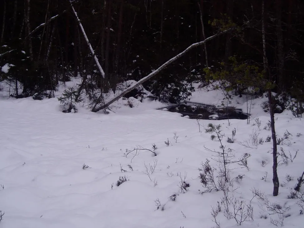 Klicka för att förstora