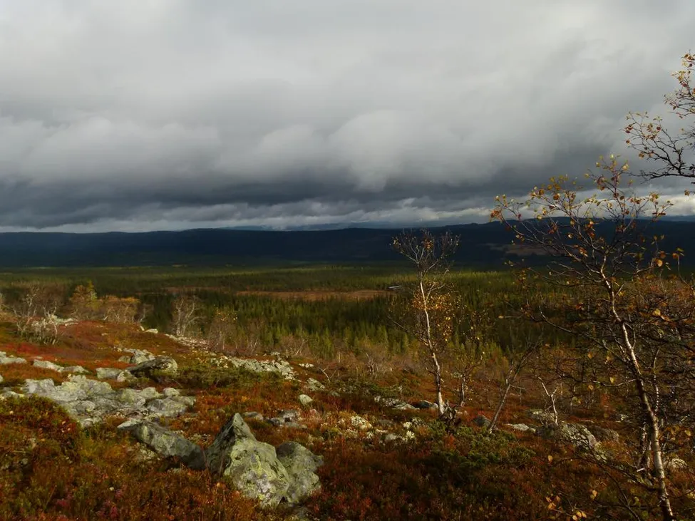Klicka för att förstora