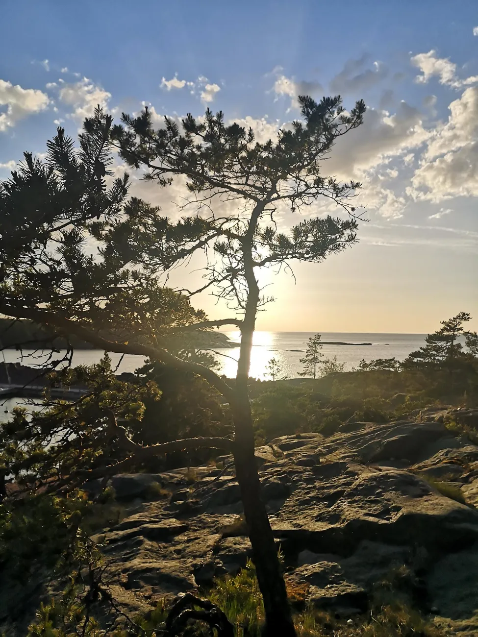 Klicka för att förstora
