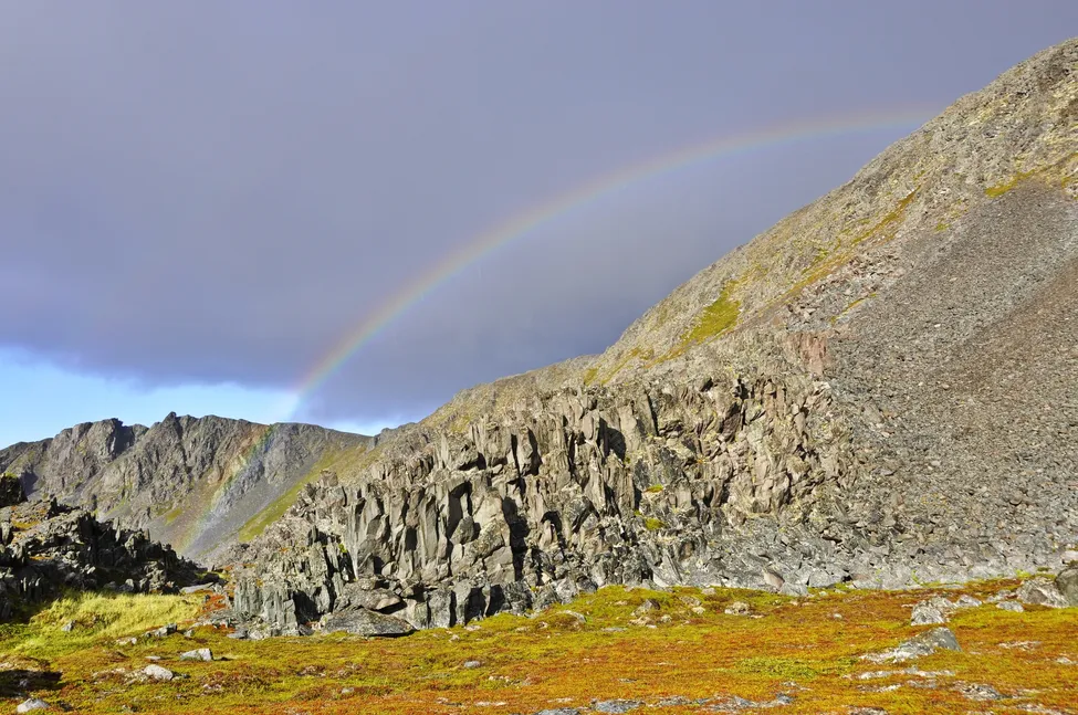 Klicka för att förstora