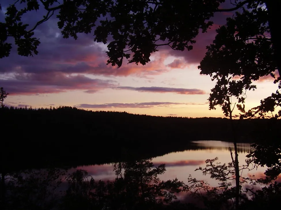 Klicka för att förstora