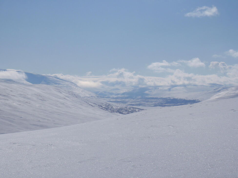 Klicka för att förstora