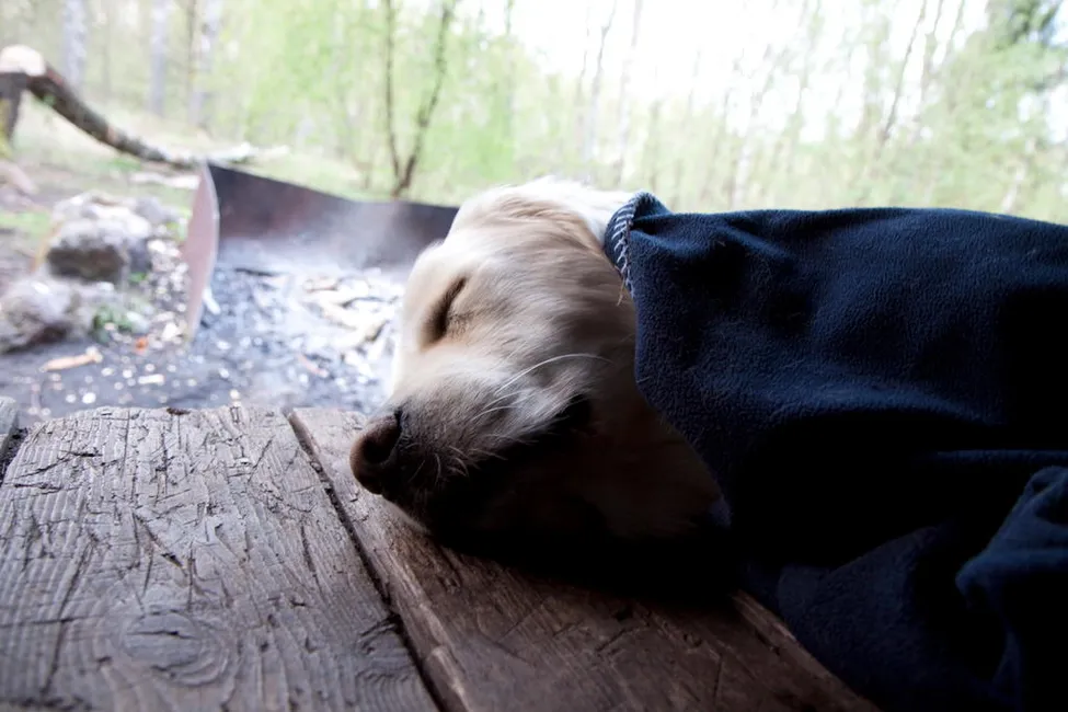 Klicka för att förstora