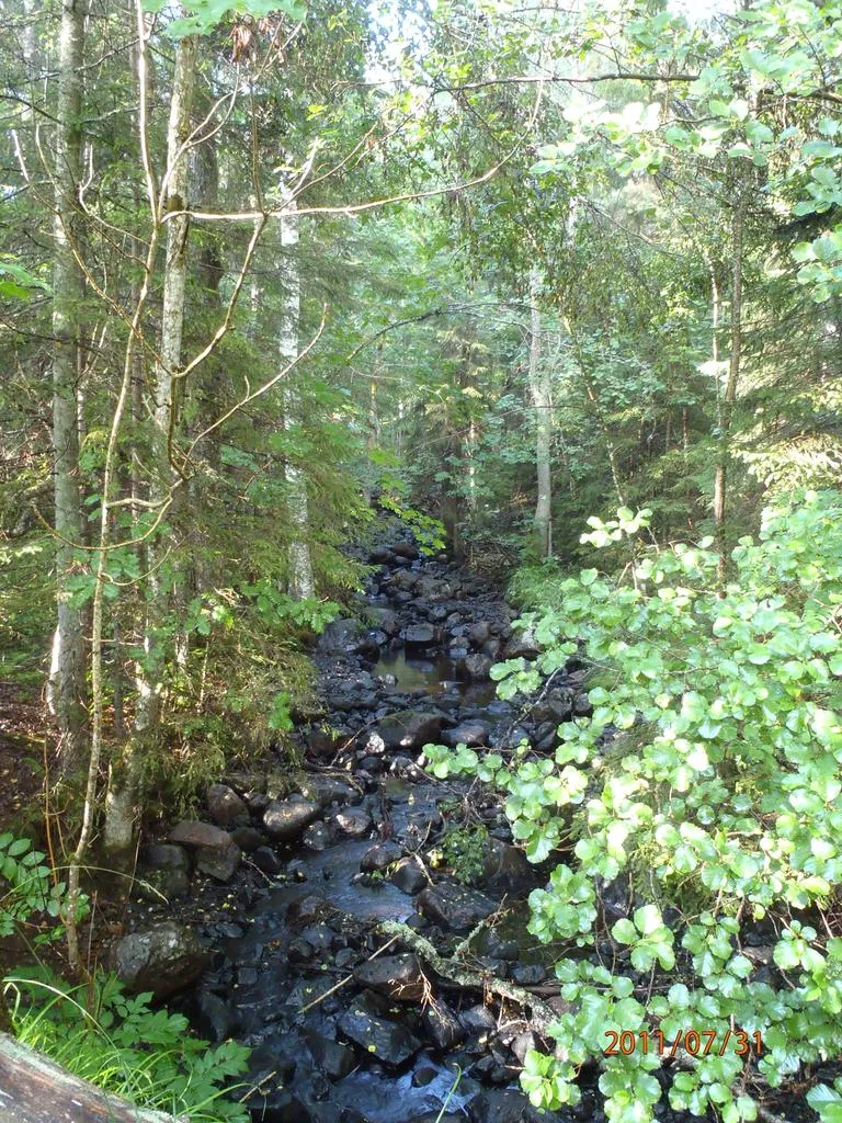 Klicka för att förstora