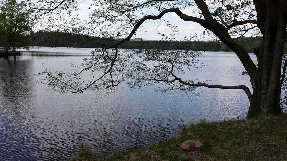 Klicka för att förstora