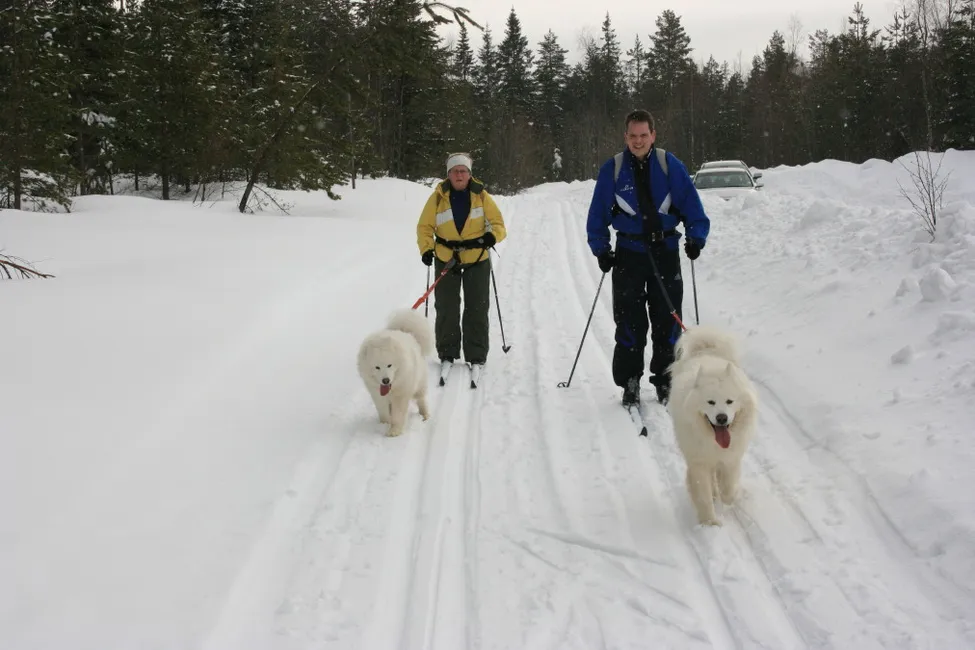 Klicka för att förstora