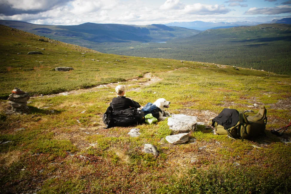 Klicka för att förstora