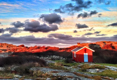 Ett par mobila novemberbilder