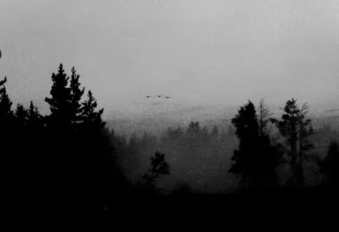 Första fotoexpeditionen