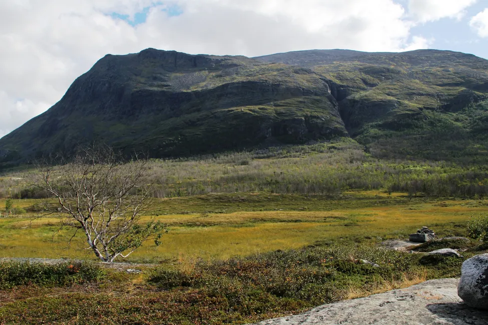 Klicka för att förstora