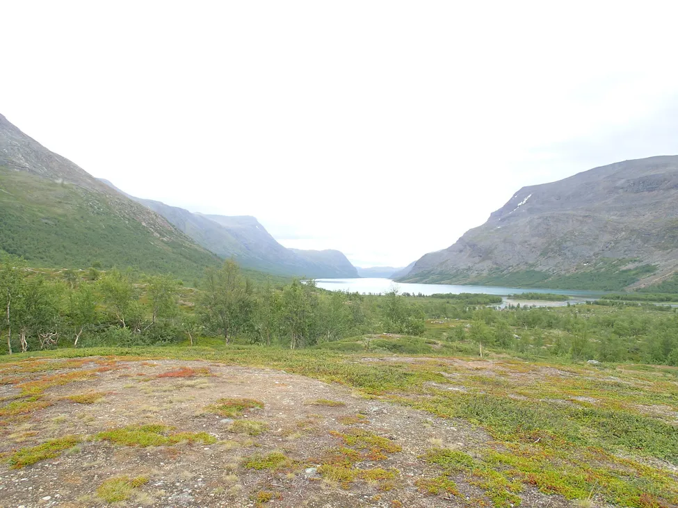 Klicka för att förstora