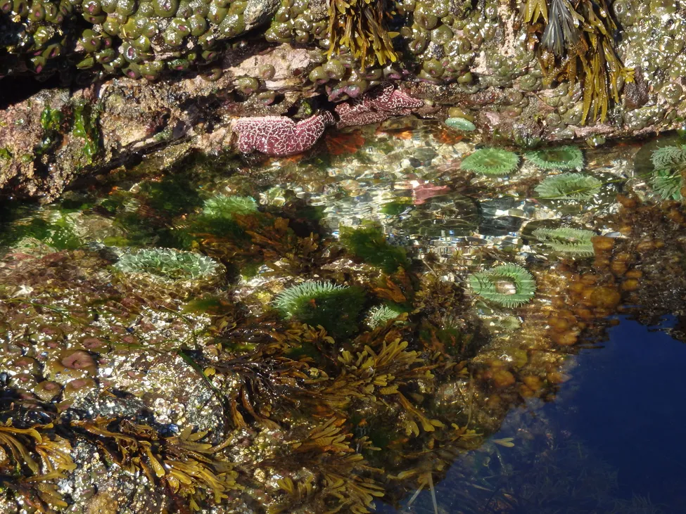 Klicka för att förstora