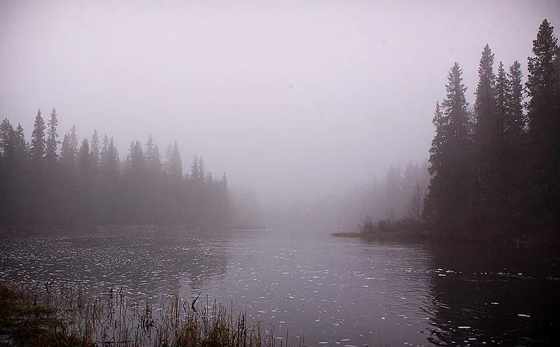 Klicka för att förstora