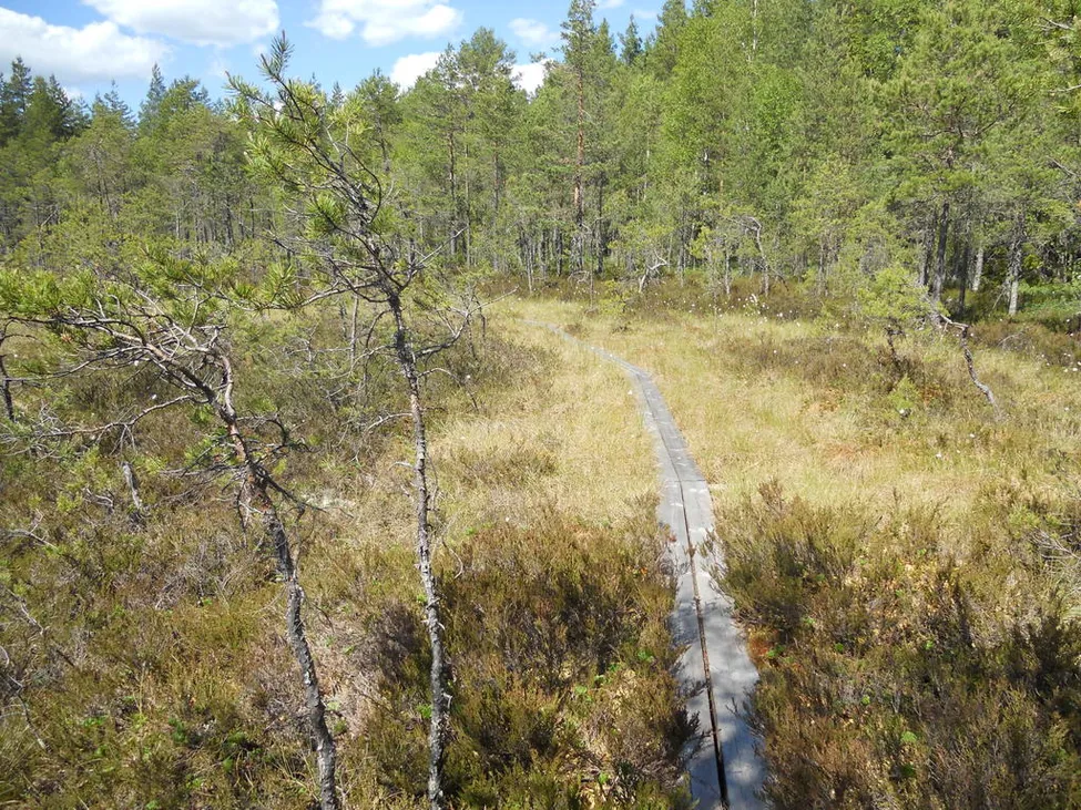 Klicka för att förstora