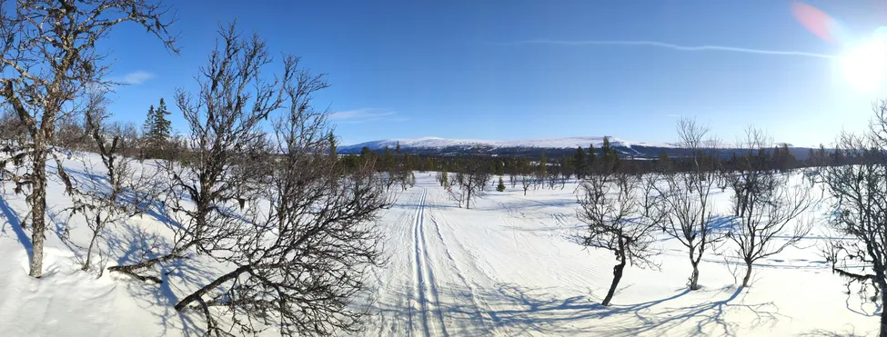 Klicka för att förstora