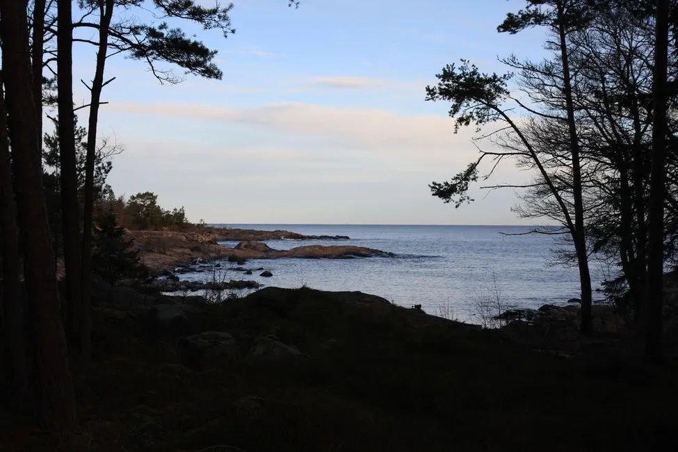 Klicka för att förstora